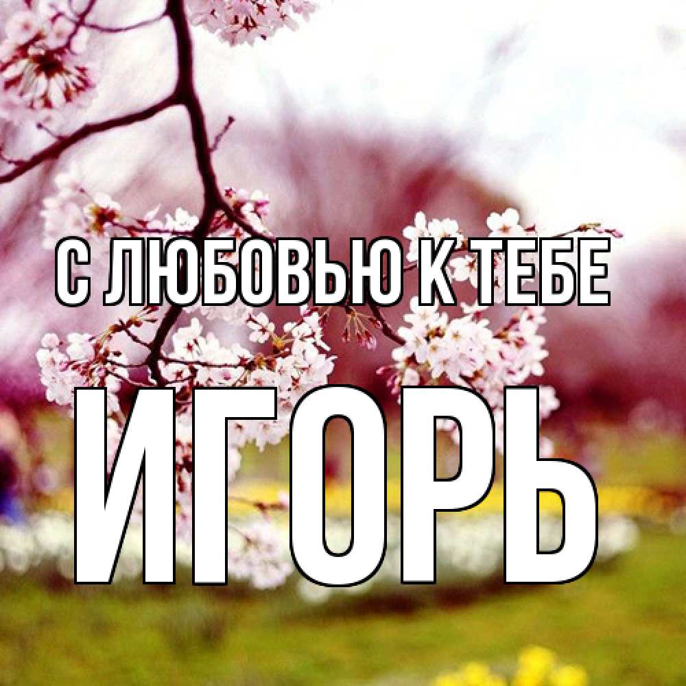 Открытка  с именем. Игорь, С любовью к тебе  
