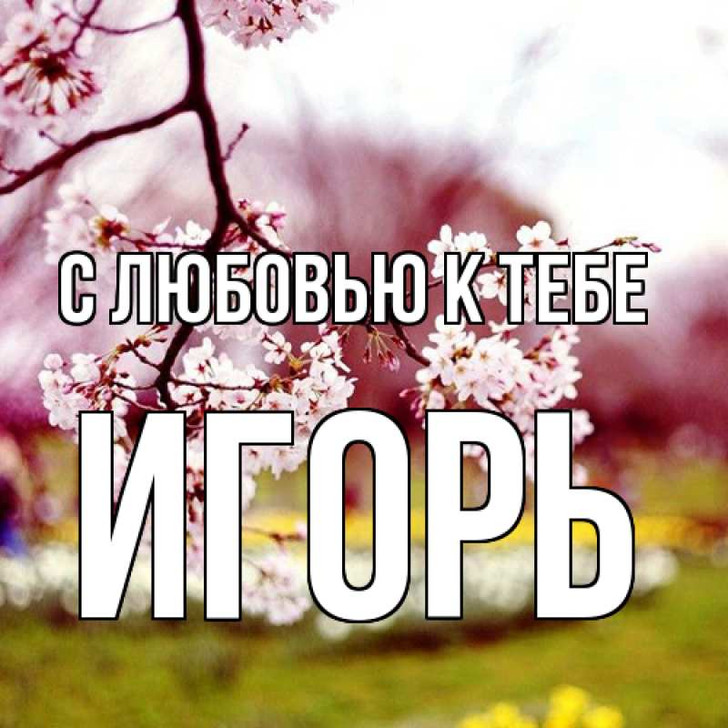 Картинка С любовью к тебе, Игорь