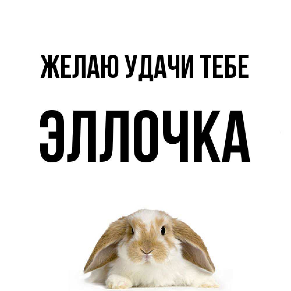 Открытка  с именем. Эллочка, Желаю удачи тебе  