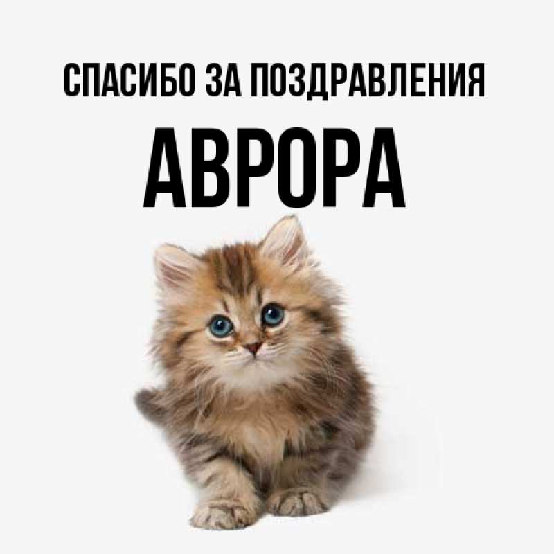 Картинка Спасибо за поздравления, Аврора