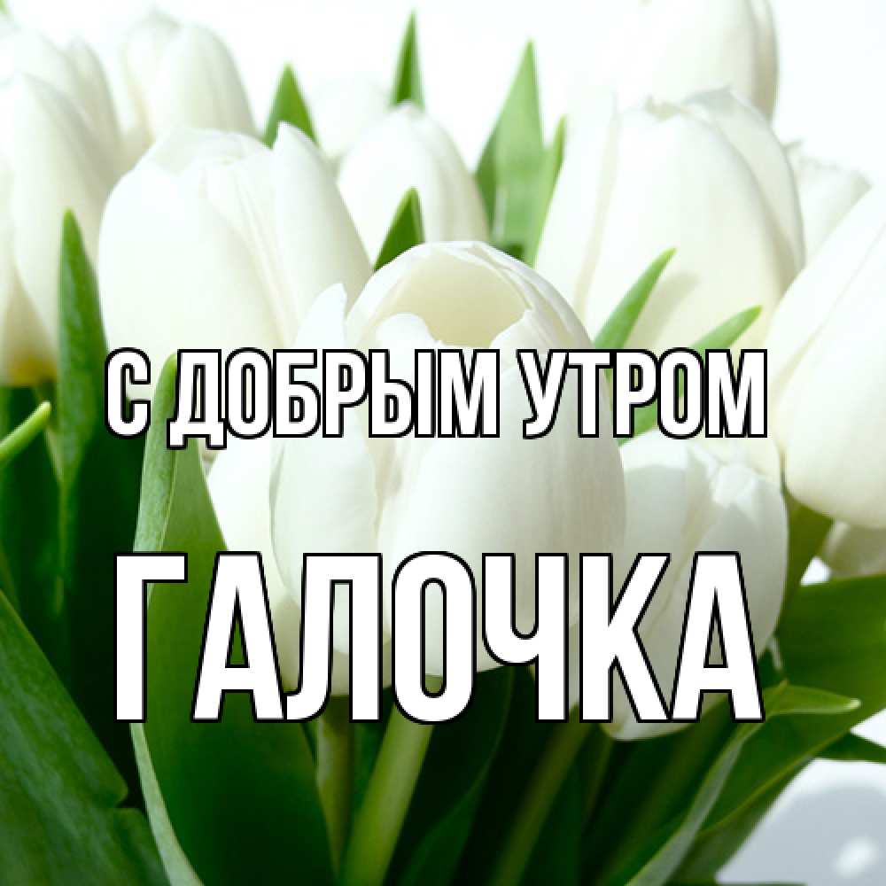 Открытка  с именем. Галочка, С добрым утром  