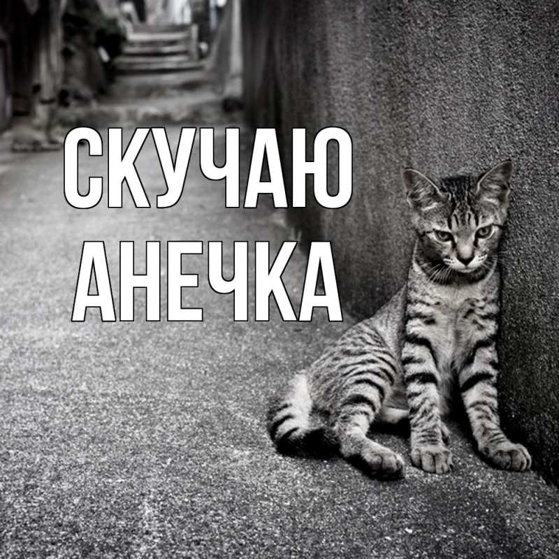 Картинка Скучаю, Анечка