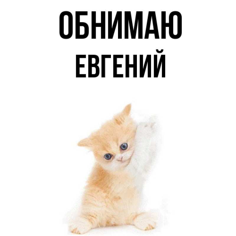 Картинка Обнимаю, Евгений