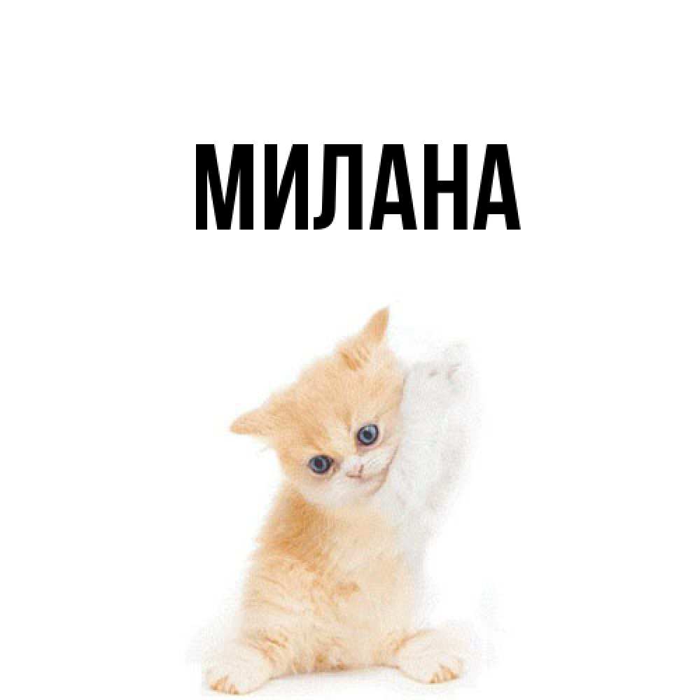 Открытка  с именем. Милана, Главная  