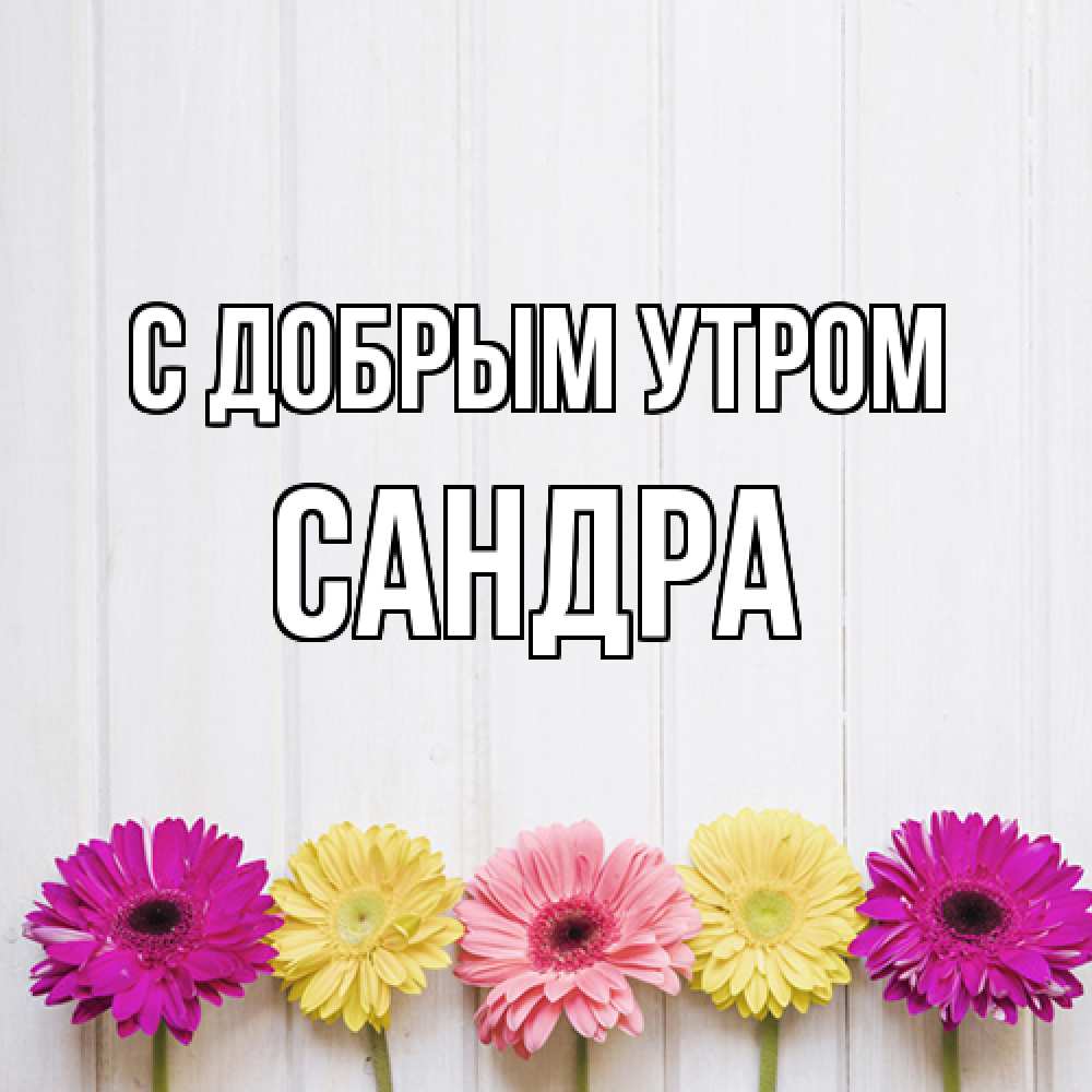 Открытка  с именем. Сандра, С добрым утром  
