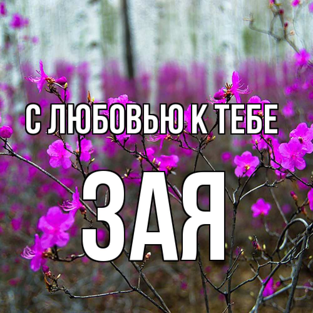 Открытка  с именем. Зая, С любовью к тебе  