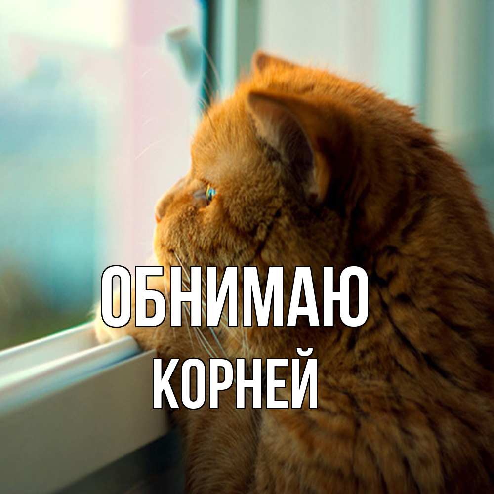 Открытка  с именем. Корней, Обнимаю  