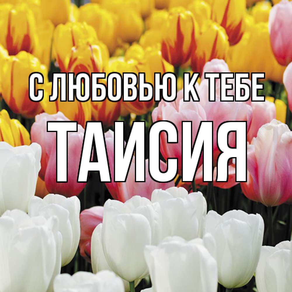 Открытка  с именем. Таисия, С любовью к тебе  
