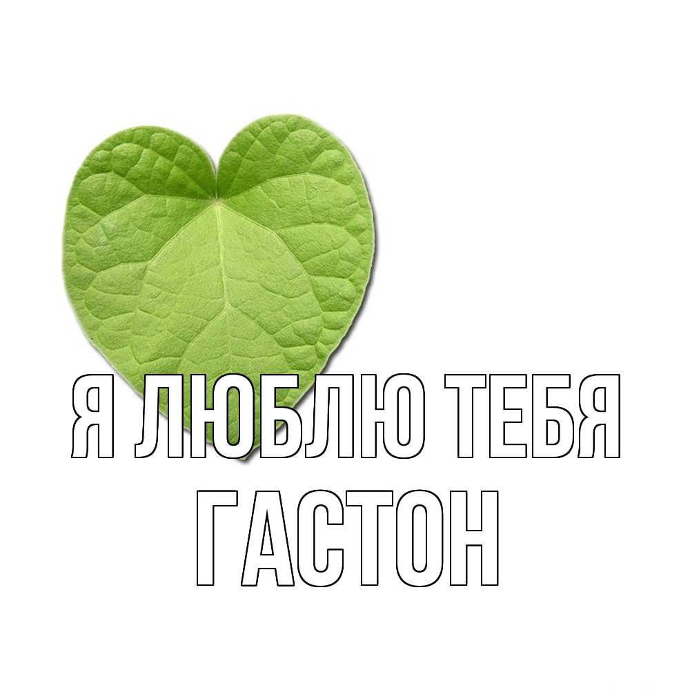 Открытка  с именем. Гастон, Я люблю тебя  