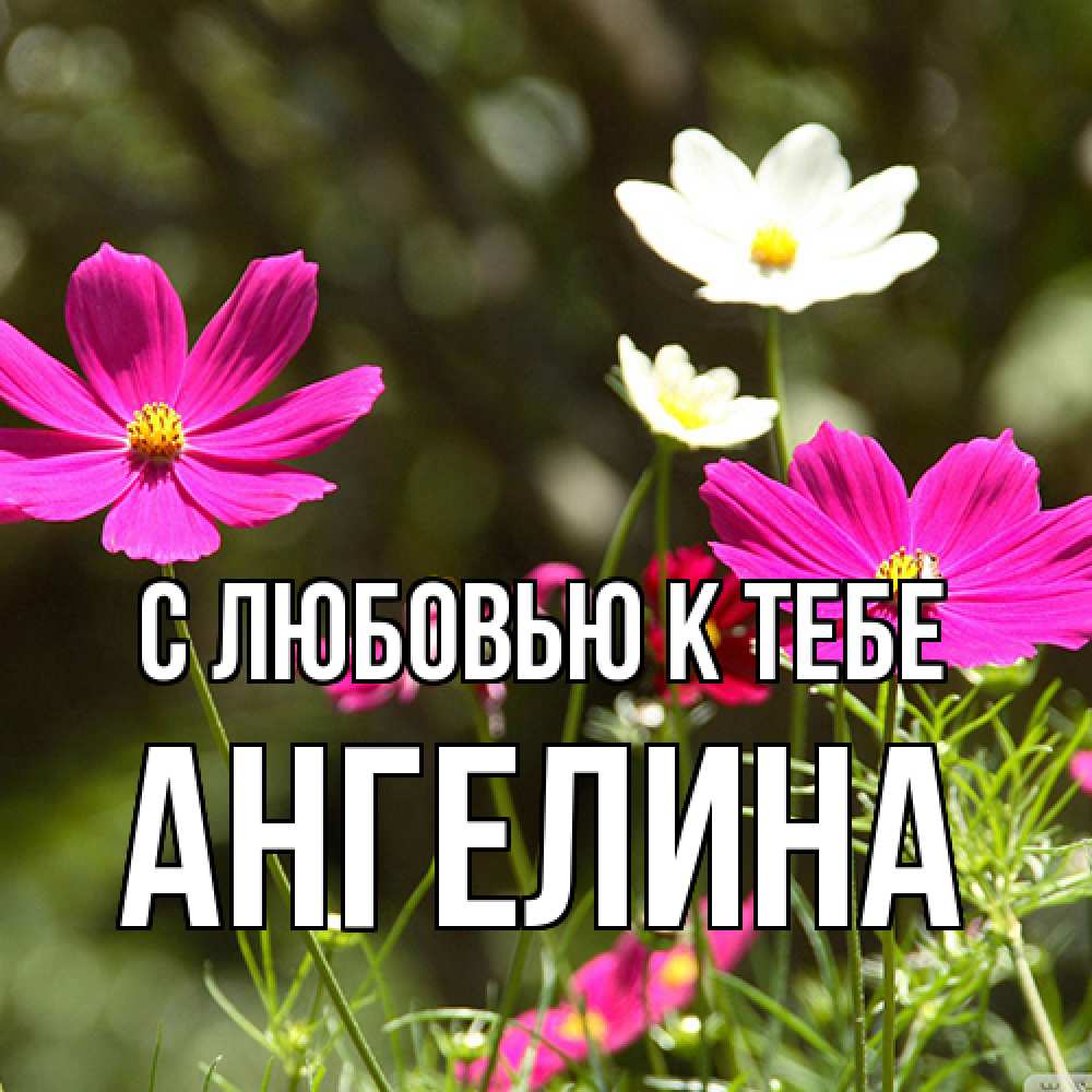 Открытка  с именем. Ангелина, С любовью к тебе  
