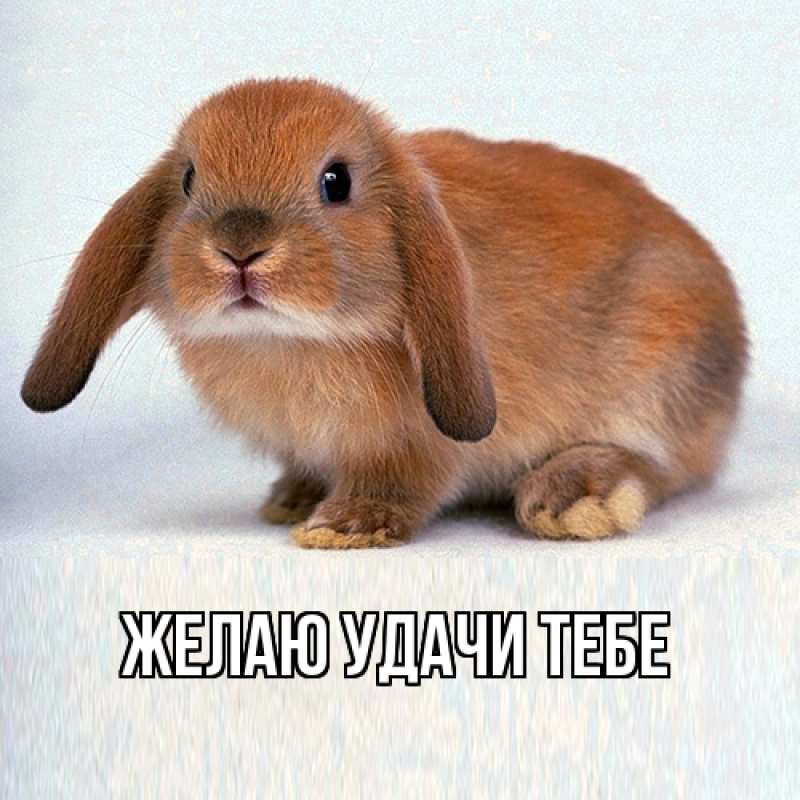 Картинка Желаю удачи тебе, 