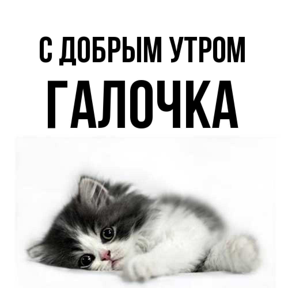 Открытка  с именем. Галочка, С добрым утром  