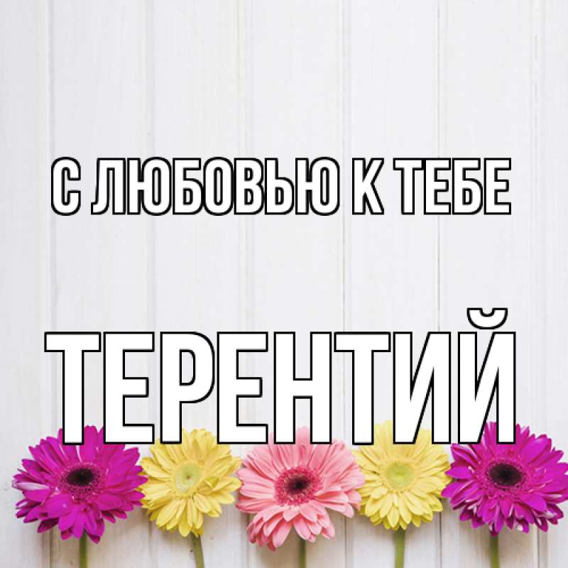 Картинка С любовью к тебе, Терентий
