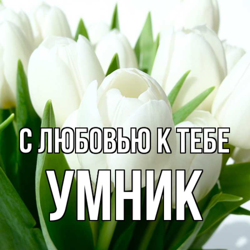 Картинка С любовью к тебе, Умник