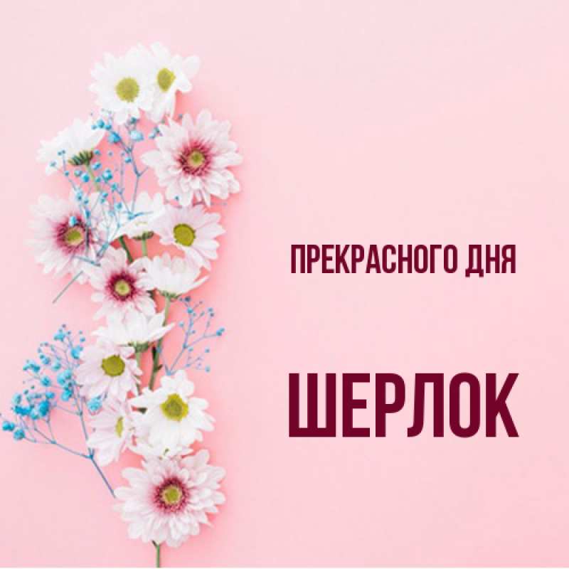 Картинка Прекрасного дня, Шерлок