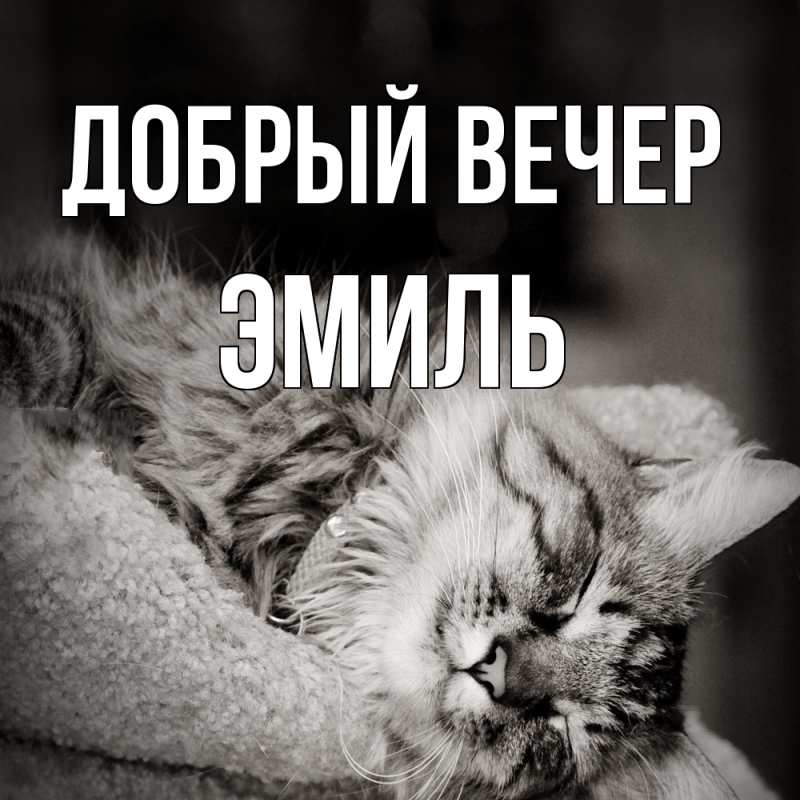 Картинка Добрый вечер, Эмиль