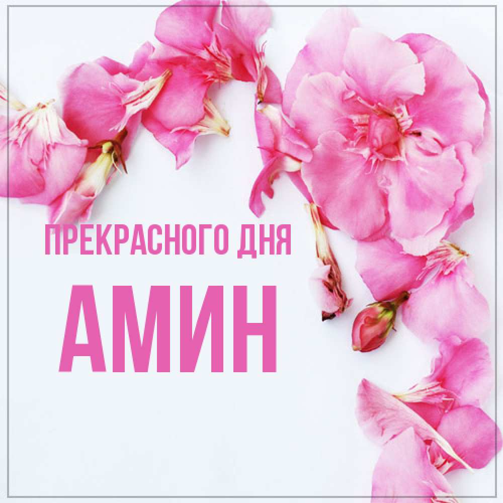 Открытка  с именем. Амин, Прекрасного дня  