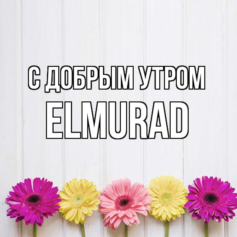 Открытка  с именем. Elmurad, С добрым утром  