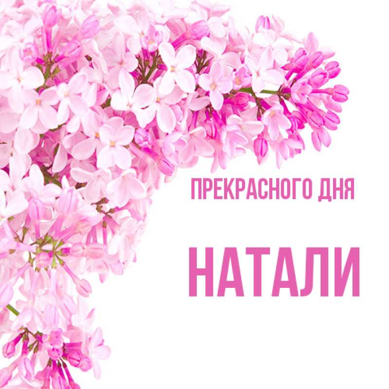 Картинка Прекрасного дня, Натали