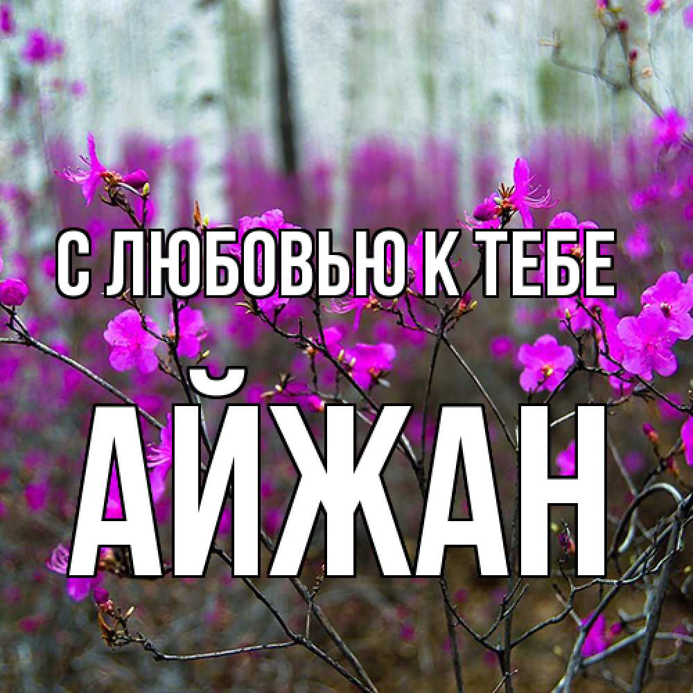 Открытка  с именем. Айжан, С любовью к тебе  