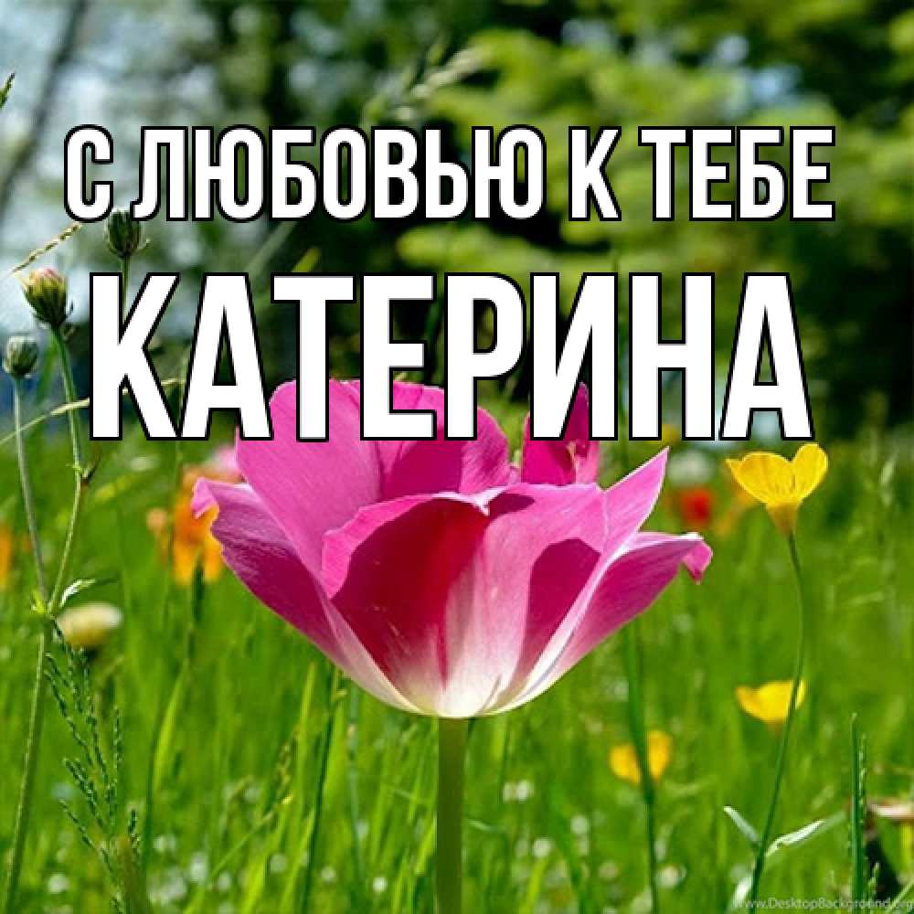 Открытка  с именем. Катерина, С любовью к тебе  