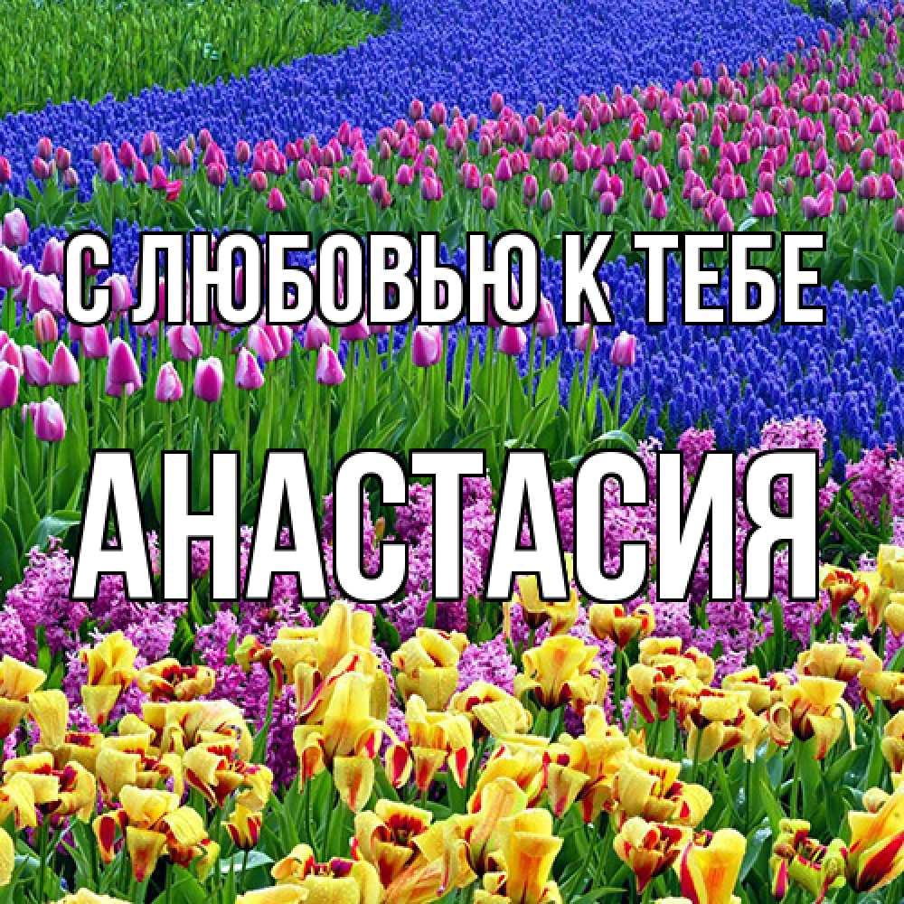 Открытка  с именем. Анастасия, С любовью к тебе  