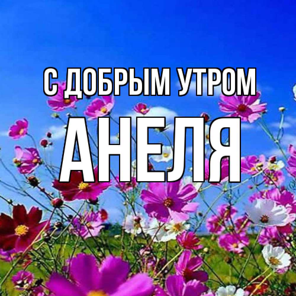 Открытка  с именем. Анеля, С добрым утром  