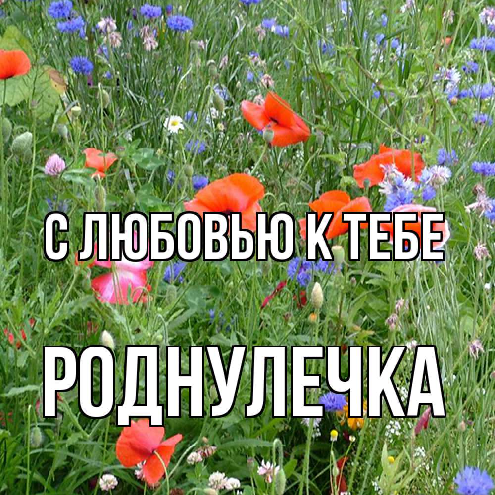 Открытка  с именем. Роднулечка, С любовью к тебе  
