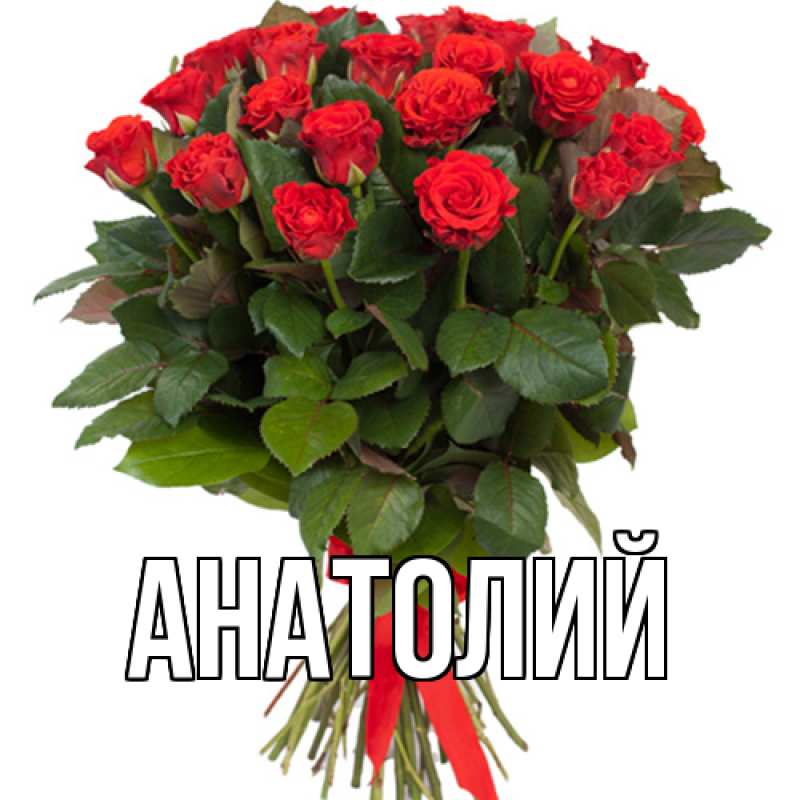 Картинка  с именем , Анатолий