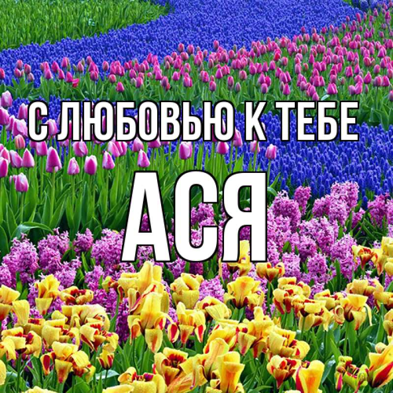 Картинка С любовью к тебе, Ася