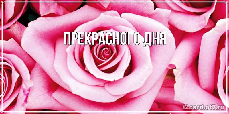 Картинка Прекрасного дня, 