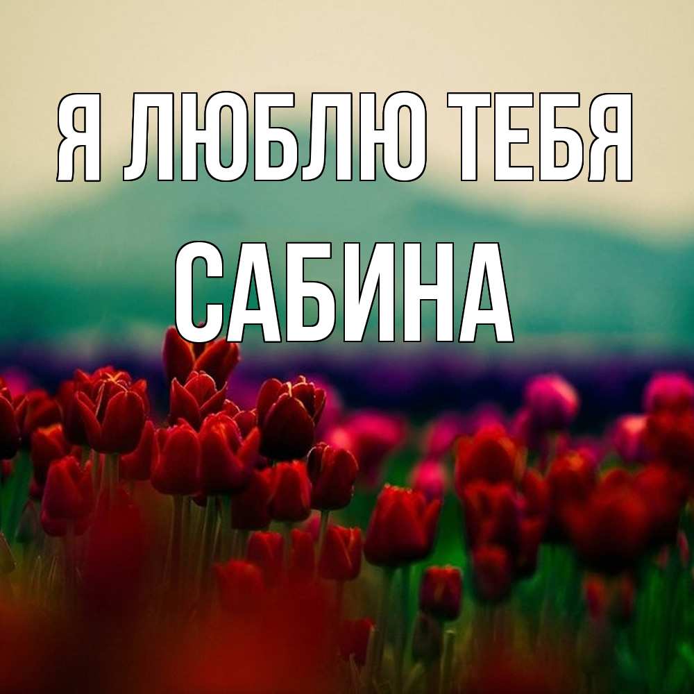 Открытка  с именем. Сабина, Я люблю тебя  