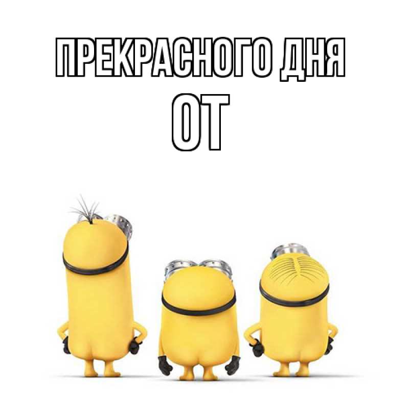 Картинка Прекрасного дня, От