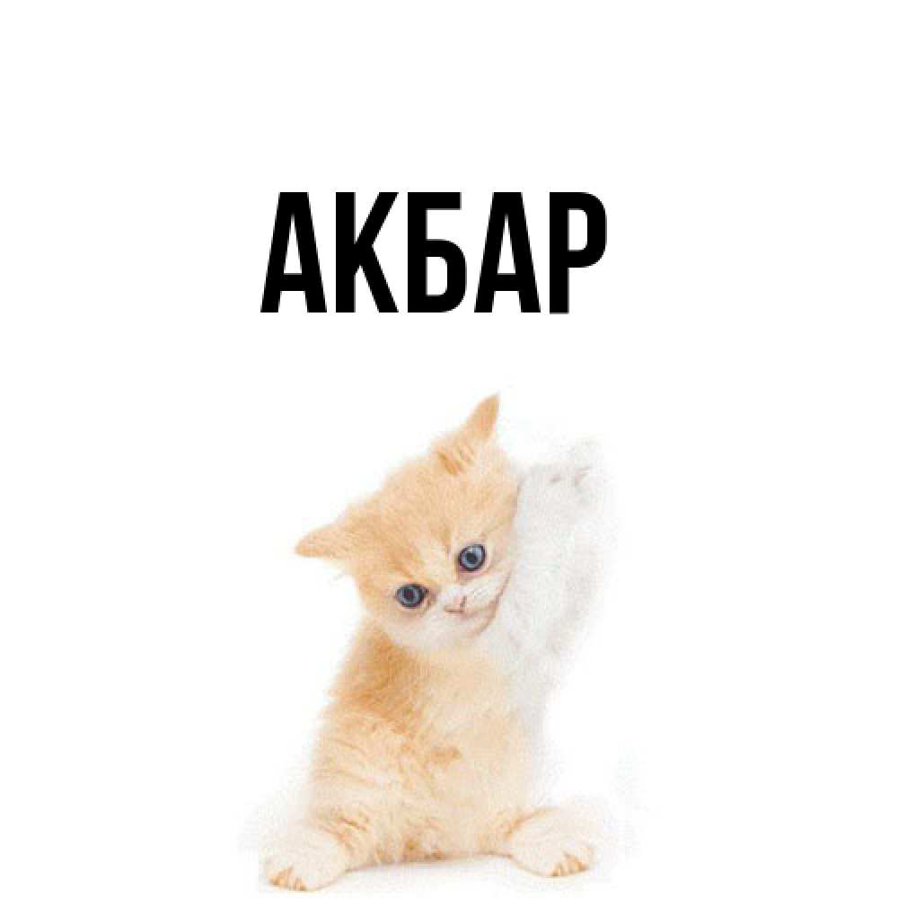 Открытка  с именем. Акбар, Главная  
