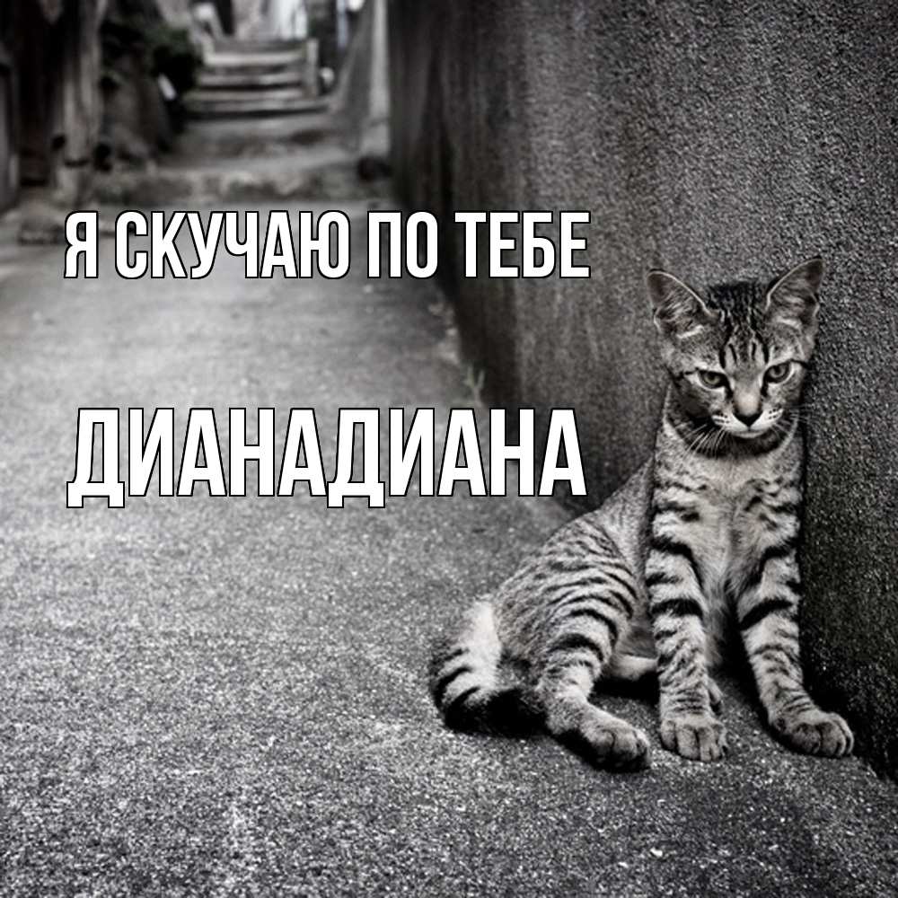 Открытка  с именем. ДианаДиана, Я скучаю по тебе  