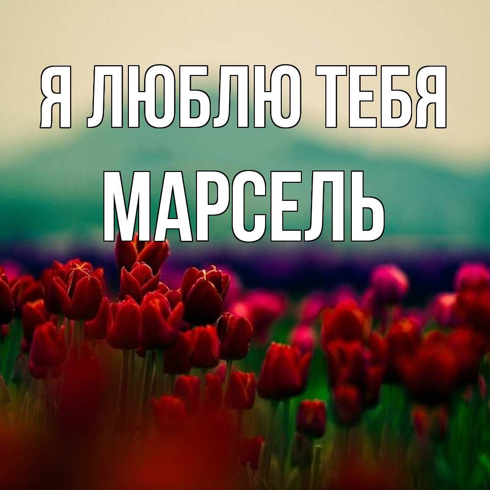 Открытка  с именем. Марсель, Я люблю тебя  