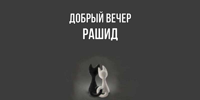 Картинка Добрый вечер, Рашид