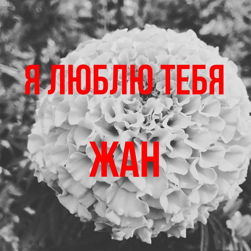 Открытка  с именем. Жан, Я люблю тебя  