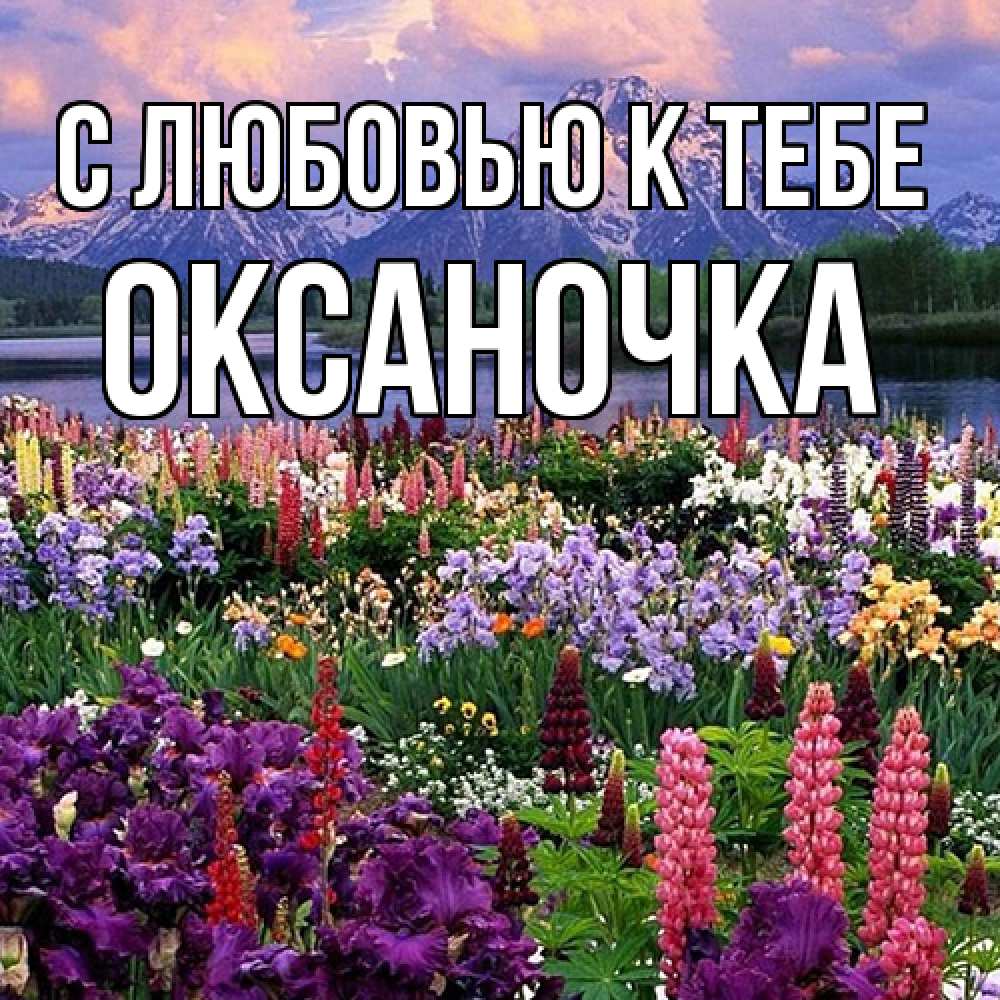 Открытка  с именем. ОКСАНОЧКА, С любовью к тебе  