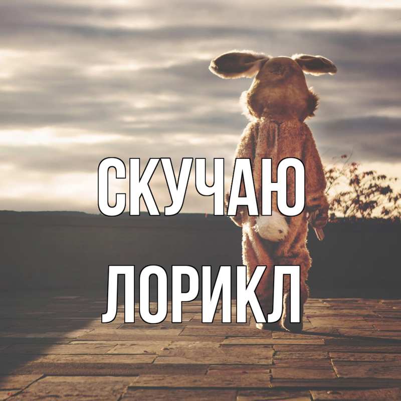 Картинка Скучаю, Лорикл