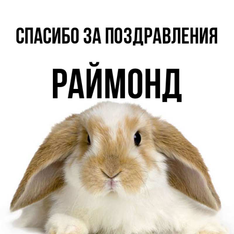 Картинка Спасибо за поздравления, Раймонд