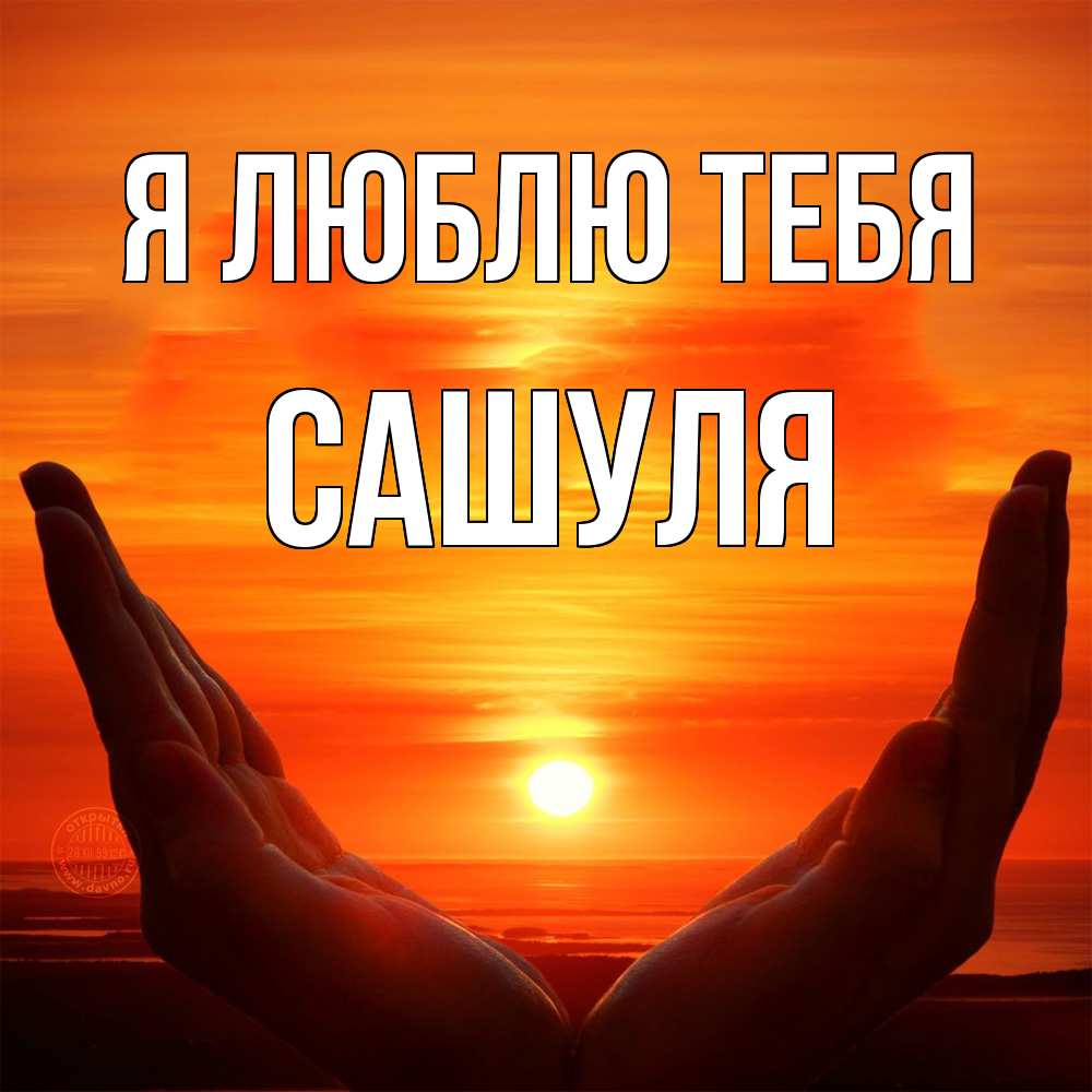 Открытка  с именем. Сашуля, Я люблю тебя  