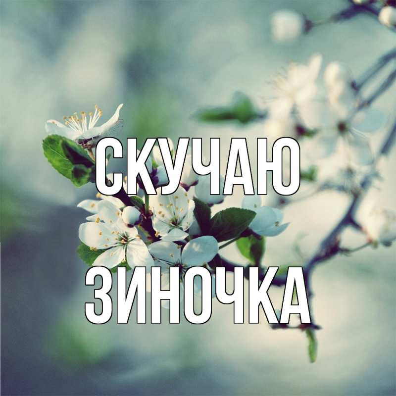 Картинка Скучаю, Зиночка