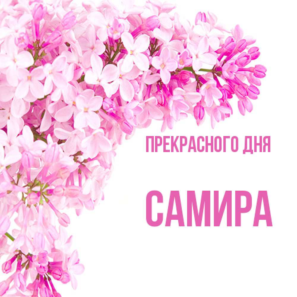 Открытка  с именем. Самира, Прекрасного дня  