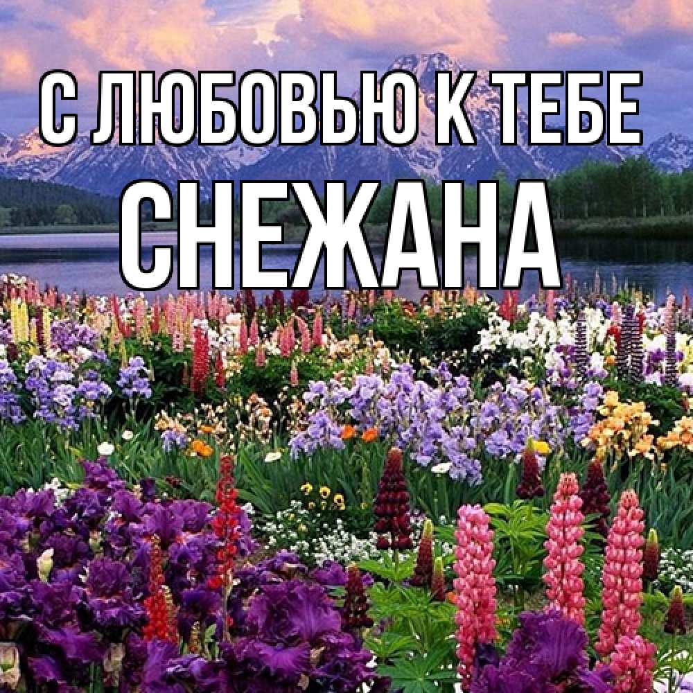 Открытка  с именем. Снежана, С любовью к тебе  
