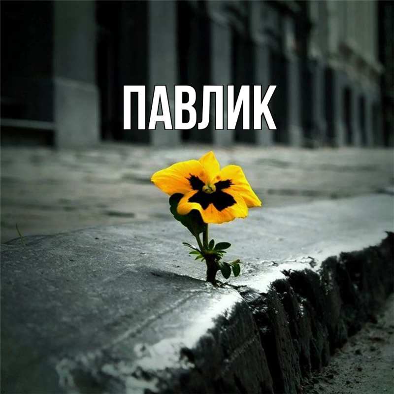 Картинка  с именем , Павлик