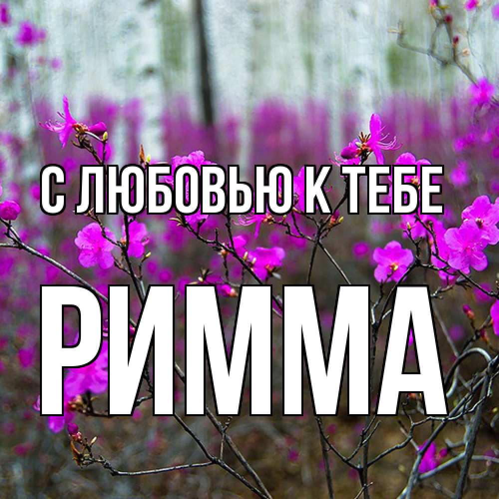 Открытка  с именем. Римма, С любовью к тебе  