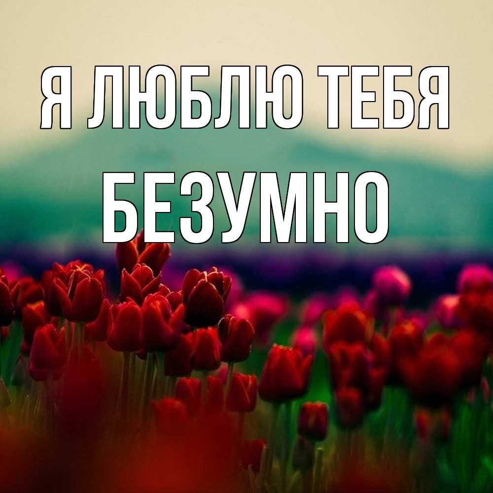 Открытка  с именем. безумно, Я люблю тебя  