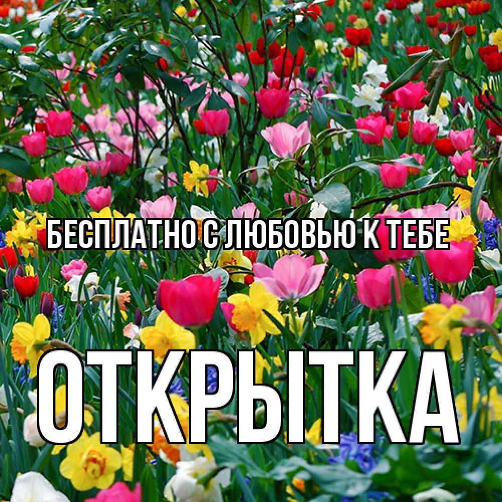 Открытка  с именем. открытка, С любовью к тебе  