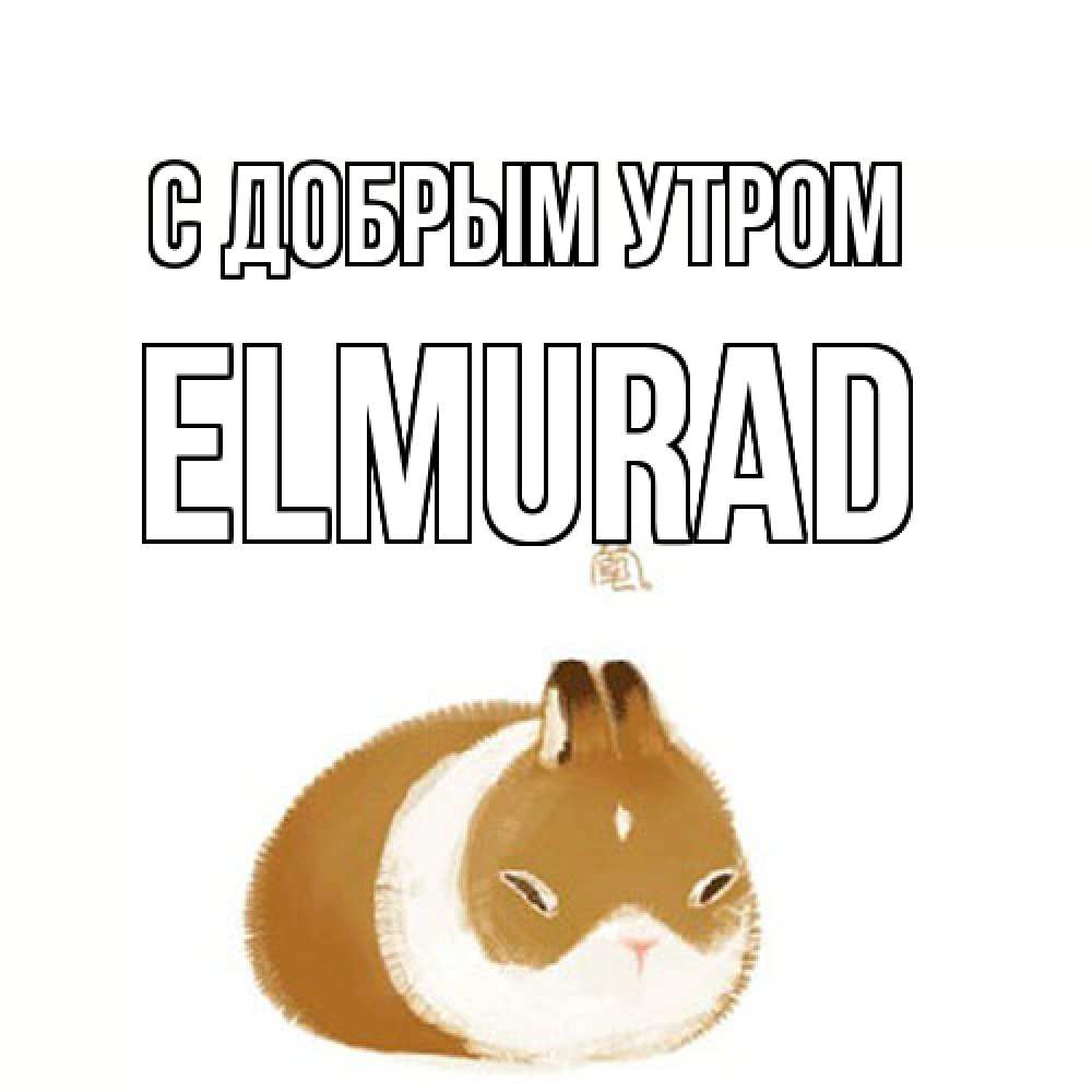 Открытка  с именем. Elmurad, С добрым утром  